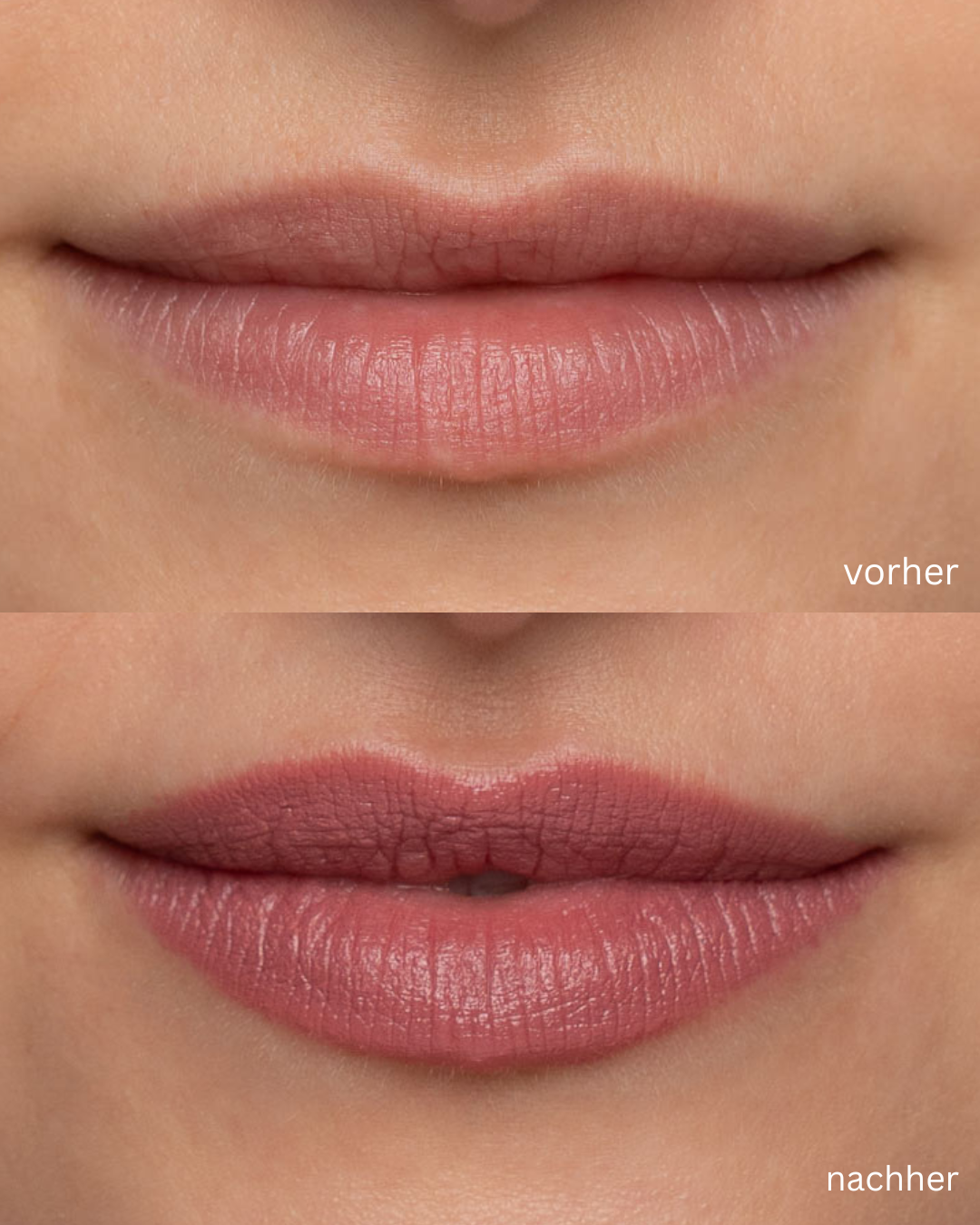Refill Lipstick (ALTES SYSTEM)